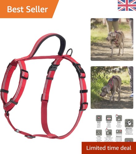Walking harness for - walking, |
