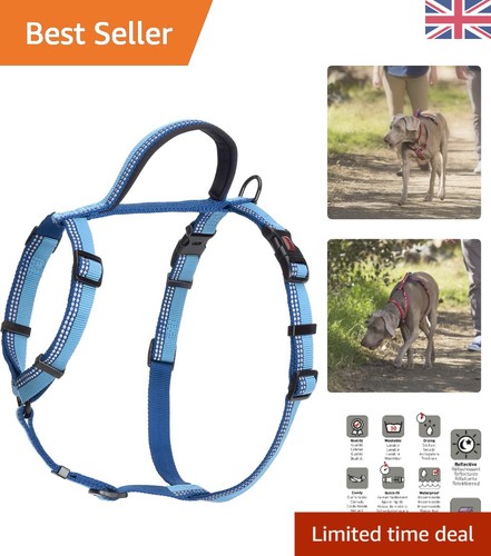 Walking harness size - walking,