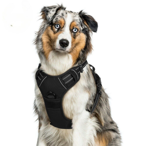 Pet dog harness with - dog,